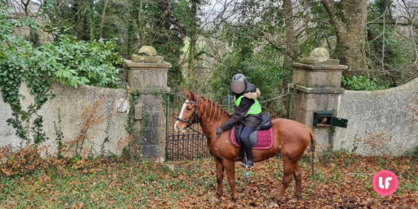 Elise en séjour linguistique avec son cheval Pom d'Api