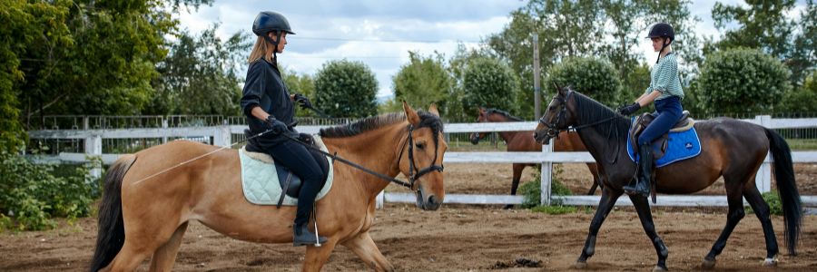 Horse-riding holidays abroad