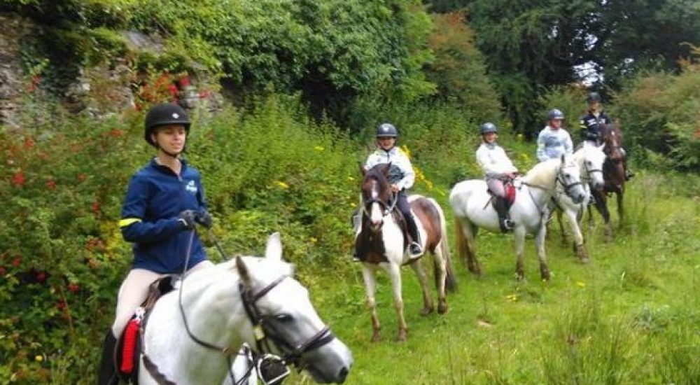 famille-d-accueil-irlande-mary-horse